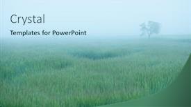  Presentation with spring tree - Presentation featuring beautiful-country-landscape-with-tree background and a cool aqua colored foreground