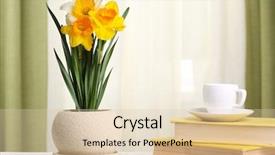  Presentation with fabric - Colorful PPT layouts enhanced with beautiful daffodils in pot backdrop and a lemonade colored foreground