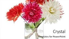  Presentation with flowers vase - PPT layouts consisting of beautiful dahlia flowers in vase isolated on white background and a white colored foreground