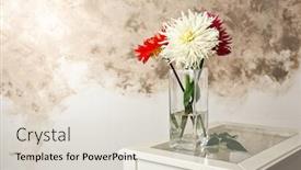  Presentation with flowers vase - Cool new PPT theme with beautiful dahlia flowers in vase on abstract wall background backdrop and a lemonade colored foreground