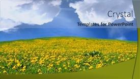  Presentation with dandelion - Cool new PPT layouts with beautiful-dandelion-hill-with-cloudy backdrop and a light blue colored foreground