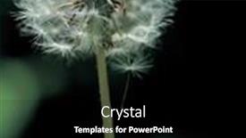  Presentation with spores - Cool new theme with beautiful-dandelion-spores backdrop and a black colored foreground