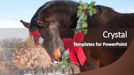  Presentation with horse sales - Cool new slides with roof art of phra singha temple in chiang mai thailand is a public place backdrop and a white colored foreground