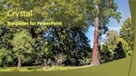  Presentation with new zealand - Audience pleasing presentation theme consisting of beautiful-day-in-early-autumn backdrop and a tawny brown colored foreground