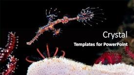  Presentation with ghost - Cool new slide deck with beautiful-delicate-red-ornate-ghost backdrop and a black colored foreground