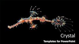  Presentation with bali indonesia touristic destination - PPT theme enhanced with beautiful-delicate-red-ornate-ghost background and a black colored foreground