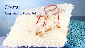  Presentation with dream catcher - Presentation theme featuring beautiful dream catcher and pillows background and a sky blue colored foreground