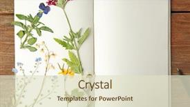  Presentation with notebook - Cool new presentation design with beautiful dried flowers in notebook backdrop and a soft green colored foreground