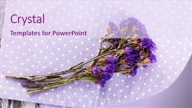  Presentation with dry - Cool new theme with beautiful dry flowers on fabric background backdrop and a sky blue colored foreground