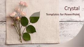  Presentation with napkin - Slide set enhanced with beautiful dry flowers on napkin background and a lemonade colored foreground