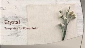  Presentation with dry - Amazing slides having beautiful dry flowers on napkin backdrop and a lemonade colored foreground