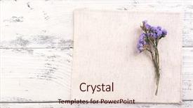  Presentation with dry - Audience pleasing slides consisting of beautiful dry flowers on napkin backdrop and a lemonade colored foreground