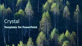  Presentation with foggy - PPT theme having beautiful-early-autumn-nature-background background and a navy blue colored foreground