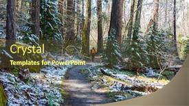  Presentation with beautiful landscapes - Slide deck with subdued - beautiful early spring landscapes background and a tawny brown colored foreground