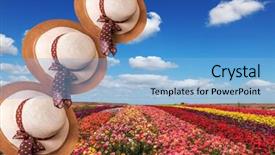  Presentation with wide - Slide set with beautiful elegant wide-brimmed hats background and a  colored foreground