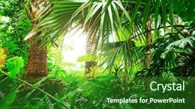  Presentation with beautiful green - Presentation theme featuring beautiful exotic plants from jungle background and a forest green colored foreground