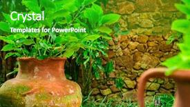  Presentation with beautiful green - Amazing slide deck having beautiful exotic plants in pots backdrop and a shamrock green colored foreground