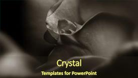  Presentation with queen - Beautiful PPT theme featuring beautiful extreme macro of amber queen rose backdrop and a wine colored foreground