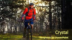  Presentation with forest fairy - Theme featuring beautiful fairy pine forest background and a tawny brown colored foreground