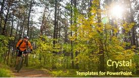  Presentation with forest fairy - Slide set having beautiful fairy pine forest background and a tawny brown colored foreground