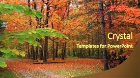  Presentation with fall - Beautiful theme featuring beautiful fall scene in rural backdrop and a  colored foreground