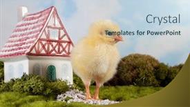  Presentation with fantasy - PPT theme featuring beautiful fantasy landscape with miniature fairytale house and little easter duckling background and a sky blue colored foreground