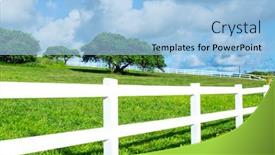  Presentation with tree farm - Amazing slide deck having beautiful-farm-field-surrounded backdrop and a light blue colored foreground