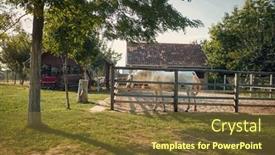  Presentation with horses - Presentation featuring beautiful-farm-with-horses background and a tawny brown colored foreground