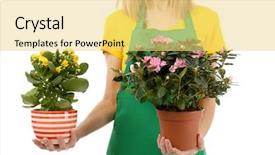  Presentation with plants - Audience pleasing PPT theme consisting of beautiful female florist holding house plants isolated on white background backdrop and a yellow colored foreground
