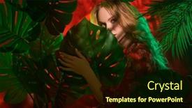  Presentation with hair dress - PPT theme having beautiful-female-model-with-long background and a wine colored foreground