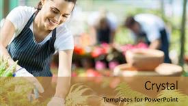  Presentation with nursery - Slides featuring beautiful female nursery worker working background and a gold colored foreground