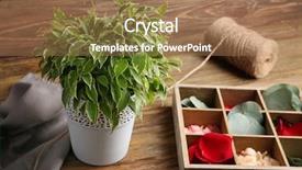  Presentation with slot machine triple 7 - Audience pleasing PPT theme consisting of beautiful ficus and slot box backdrop and a  colored foreground