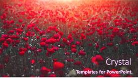  Presentation with holy land - Presentation theme consisting of beautiful-field-of-red-poppies background and a tawny brown colored foreground