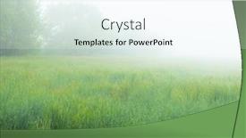  Presentation with fog - Colorful presentation enhanced with beautiful-field-with-trees backdrop and a pink colored foreground