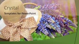  Presentation with field - Slide set featuring beautiful-field-with-violet-lupine background and a coral colored foreground