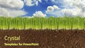  Presentation with field - Theme consisting of beautiful-field background and a tawny brown colored foreground