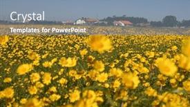  Presentation with beautiful nature - PPT layouts with beautiful-filed-of-flowers-nature background and a  colored foreground