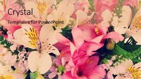  Presentation with floral - Presentation design with beautiful floral arrangement close up background and a coral colored foreground