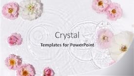  Presentation with pure water - PPT layouts consisting of beautiful-floral-arrangement-in-pure background and a  colored foreground