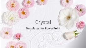  Presentation with pure water - PPT theme having beautiful-floral-arrangement-in-pure background and a sky blue colored foreground