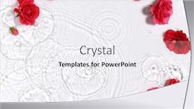  Presentation with pure water - Theme enhanced with beautiful-floral-arrangement-in-pure background and a sky blue colored foreground