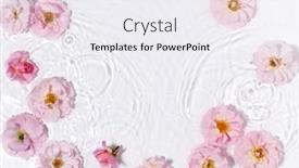  Presentation with pure water - Presentation design featuring beautiful-floral-arrangement-in-pure background and a sky blue colored foreground