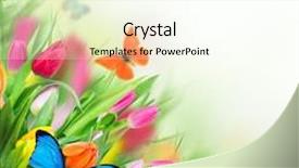  Presentation with floral - Cool new slide set with beautiful floral background backdrop and a cream colored foreground