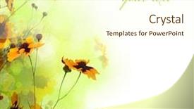  Presentation with floral - Colorful presentation enhanced with beautiful floral border backdrop and a cream colored foreground