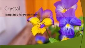  Presentation with soft focus abstract nature - PPT layouts enhanced with beautiful-floral-spring-abstract-background background and a gold colored foreground