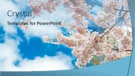  Presentation with soft focus abstract nature - Slide set with beautiful-floral-spring-abstract-background background and a light blue colored foreground