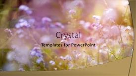  Presentation with beautiful spring flowers - Beautiful PPT theme featuring beautiful-floral-spring-abstract-background backdrop and a coral colored foreground