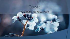  Presentation with floral abstract - Slide set with beautiful-floral-spring-abstract-background background and a teal colored foreground