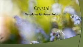  Presentation with floral abstract - Colorful presentation enhanced with beautiful-floral-spring-abstract-background backdrop and a yellow colored foreground