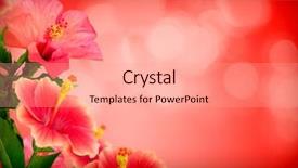  Presentation with floral - Cool new theme with beautiful floral backdrop and a  colored foreground